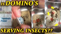 Domino's Pizza oregano sachets infested with live insects, Watch Video | Oneindia News