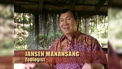 Crazy Man Jumps Into Lion Enclosure And Gets Attacked