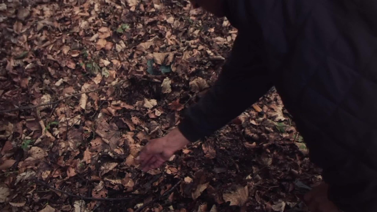 Bone Hunter promo