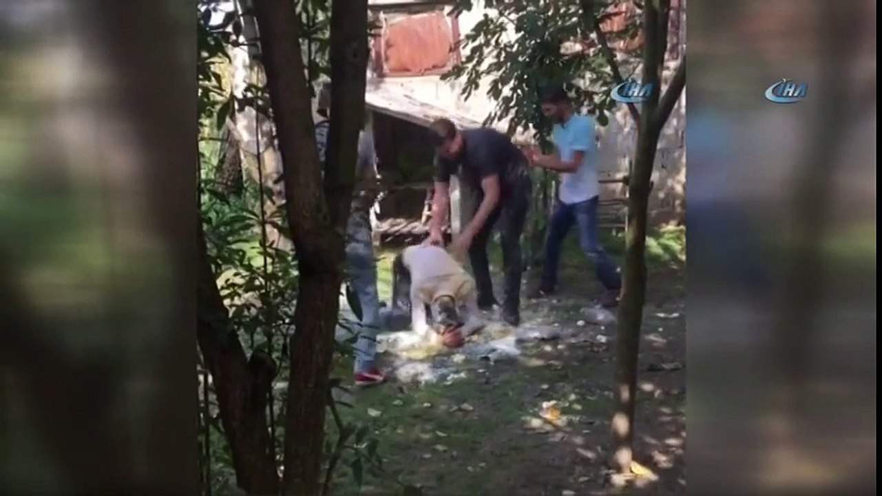 Damat Şakası