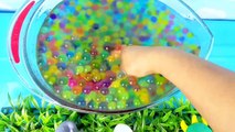 Learning Colors with Sea Animals Fun Water Orbeez Animal Ocean Slimy Kids Children Toddlers Babies