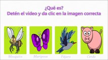 Adivinanzas para niños ( Animales) - Videos para niños