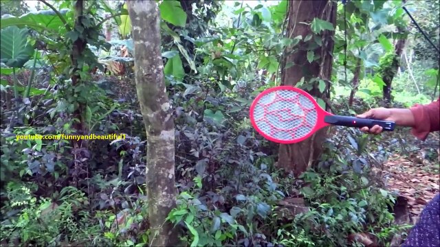 Il tue des centaines de moustiques en quelques mouvements de raquette électrique !