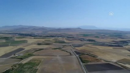 Van'da Bal Hasadı Başladı