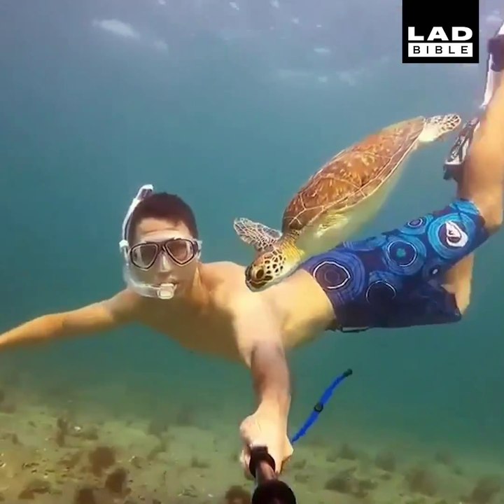 İnsana huzur veren hayvanlar ve dostlukları!