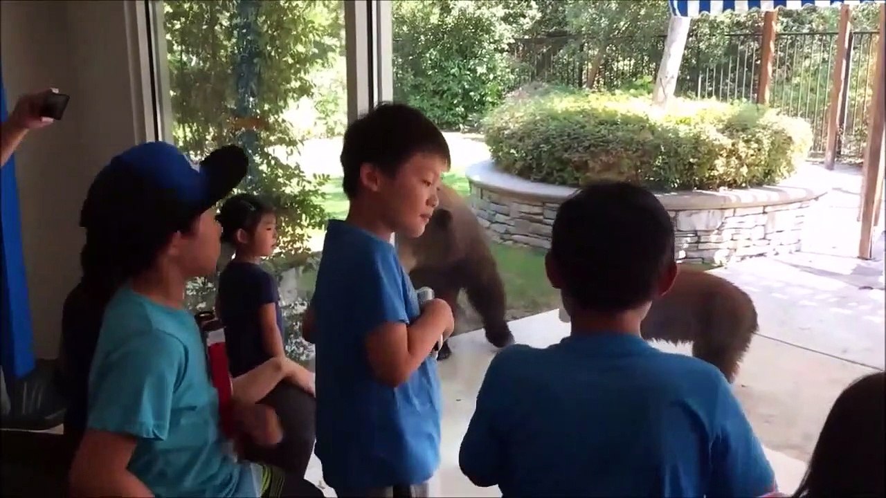 Ces enfants regardent un petit ours en train de jouer avec leur bouée gonflable !