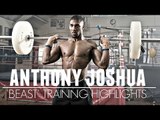 Anthony Joshua Highlights ● Training 'BEAST'