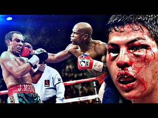 When Boxers Dominate & Destroy! Pt1