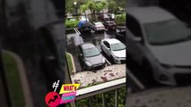 Scary First Video Miami hit by Irma Hurricane , Florida - hurricane Irma afterma