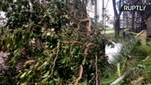 شاهد: الخراب الذي حل بولاية فلوريدا بعد إعصار إرما