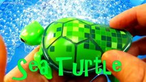 Sea Animals Wind Up Toys Finding Nemo Dory Babies Kids Toddlers Children Learning Ocean Creatures