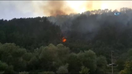 Emet'teki Orman Yangınına Müdahale Sürüyor