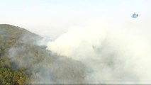 Sakarya'daki Orman Yangını Kısmen Kontrol Altına Alındı...yangın Havadan Görüntülendi