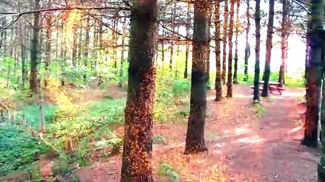 Frozen Elsa Turns into VILLAINS! w/ Spiderman Bad Baby Maleficent Joker Spidergirl Superhe