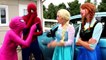 Frozen Elsa & Spiderman BALLOON SURPRISE Disney Car Toys! w/ Pink Spidergirl Maleficent Jo