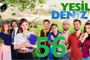 Yeşil Deniz 56/1
