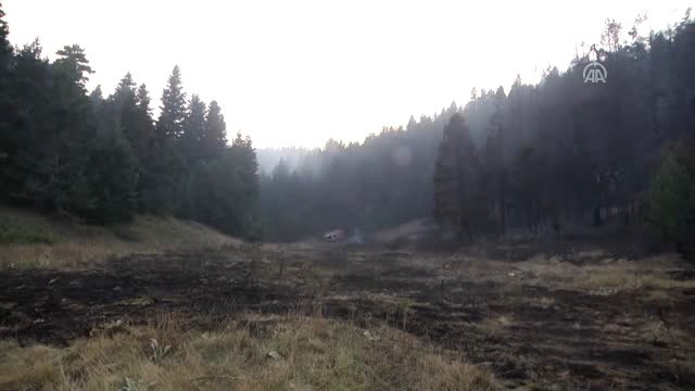 Domaniç'teki Yangın, Bilecik'in Bozüyük İlçesine Sıçradı - Bilecik/
