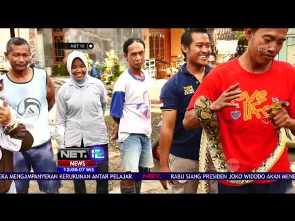 Warga Tangkap Ular Sanca di Plafon Kamar Mandi...
