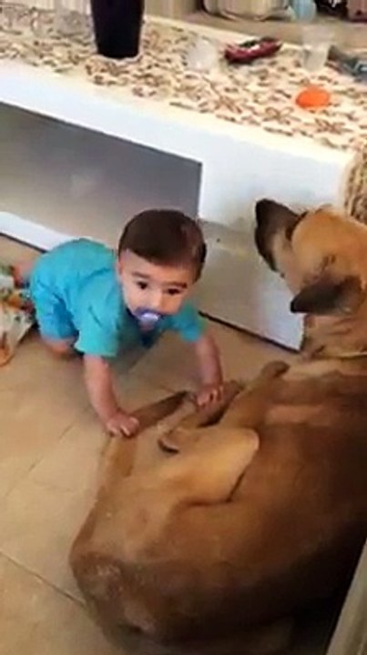 Dog attacked a kid right in front of his mother