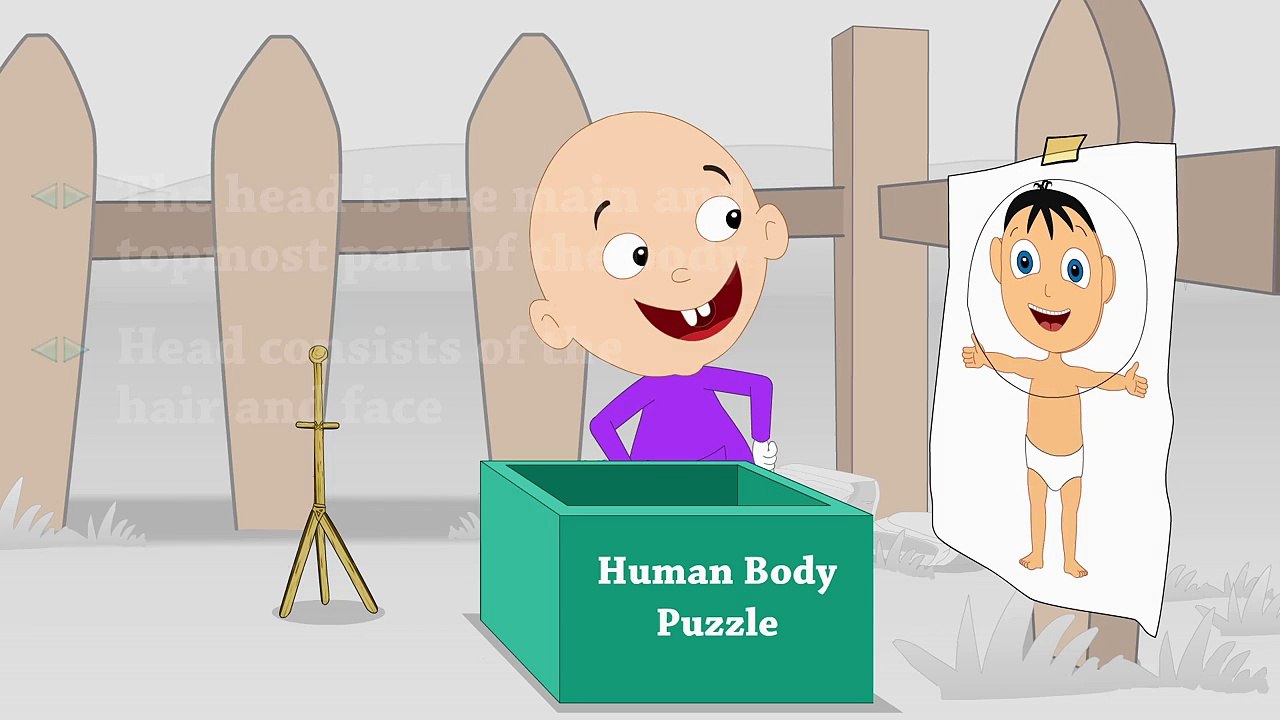 Parts of the Body for Kids