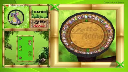 Lotería de animalitos es el "salvavidas" del venezolano