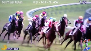 【超良血トゥザ一族！】2歳新馬　トゥザフロンティア