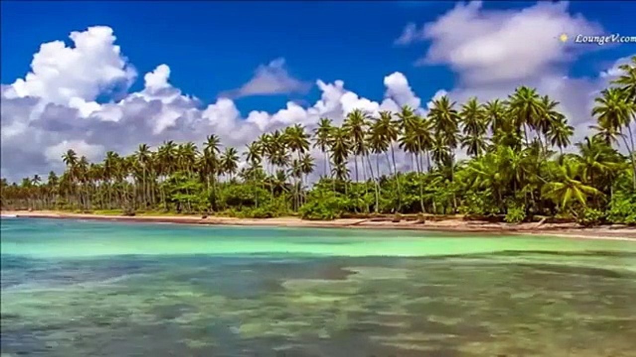canh bien cay dua 1