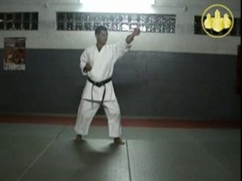 Kihon Shito Ryu