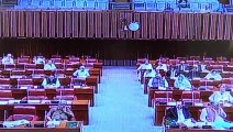 Senator Mian Ateeq speech on Rohingya Muslim of Myanmar in senate on 12 september 2017
