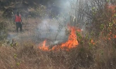 Kebakaran Hutan di Kaki Gunung Guntur