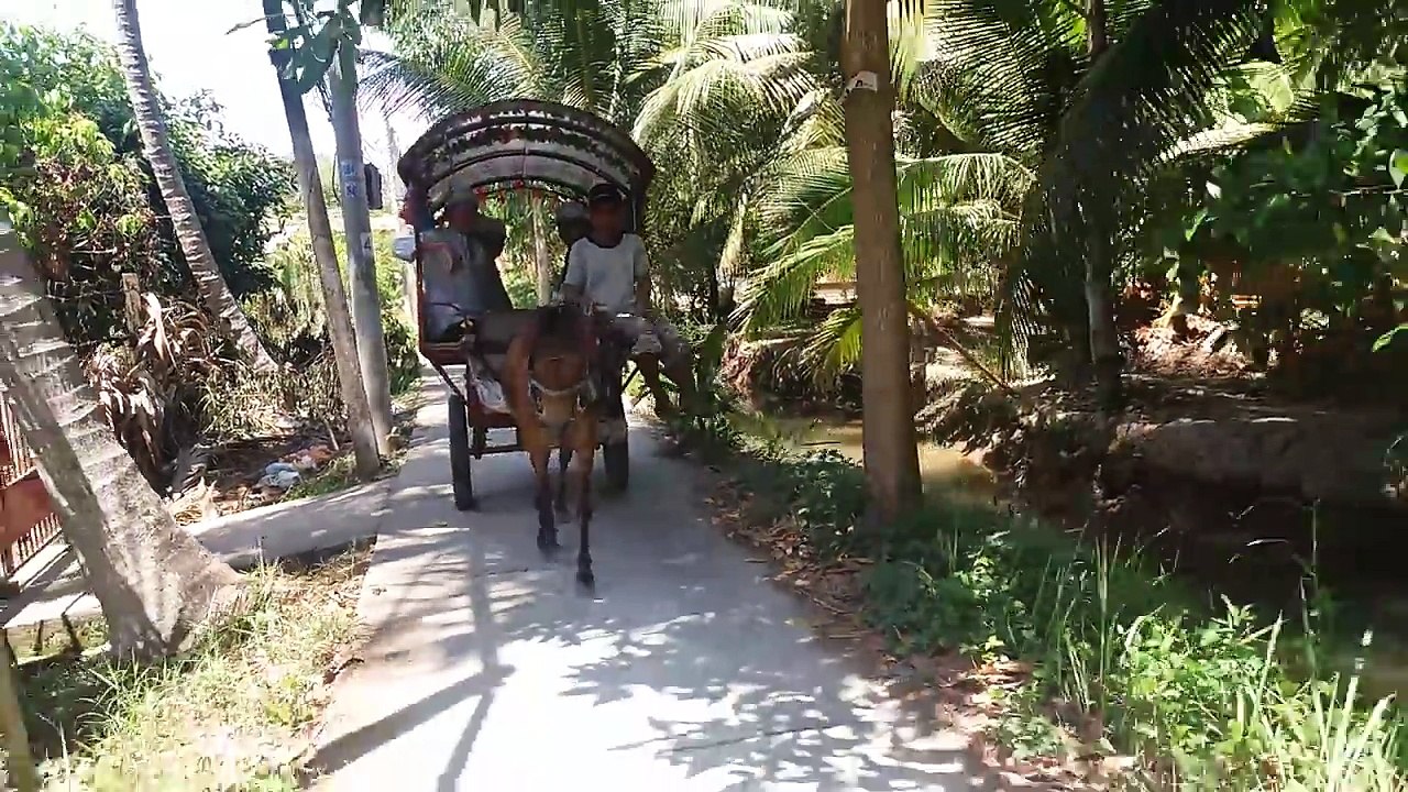 Du lịch bằng xe ngựa ở Thới sơn Mỹ tho Tiền Giang Bến Tre