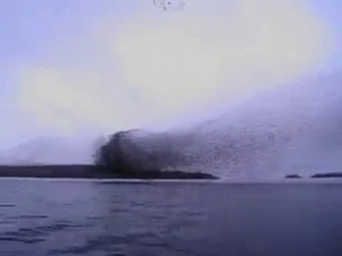 Elles vont assister à un spectacle magnifique dans le ciel : des milliers d'oiseaux forment un nuage incroyable