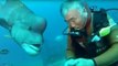 Ce plongeur chinois a filmé une créature étrange et terrifiante mais qui est en fait très affectueuse