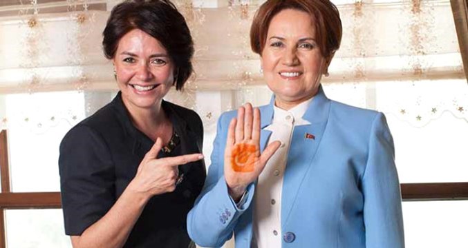 Meral Akşener'in Kuracağı Partinin Logosu Belli Oldu