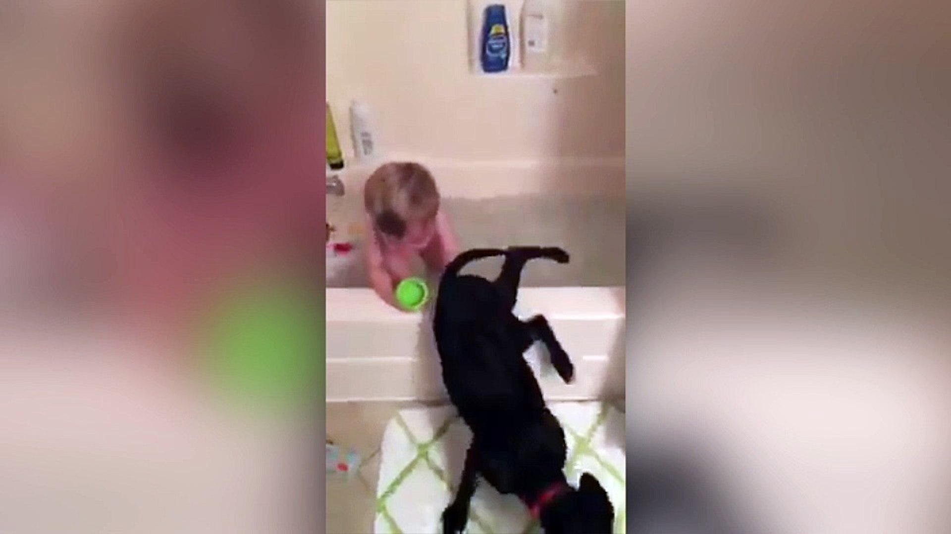 Ce Bebe Adore Prendre Son Bain Avec Son Chien Video Dailymotion