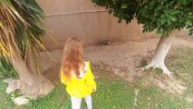 Elif paticiği bebek arabası ile gezdiriyor, eğlenceli çocuk videosu
