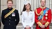 Kate Middleton and Princes  William and Harry plotting