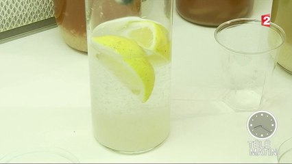 Sciences - De bonnes bactéries pour booster son cerveau