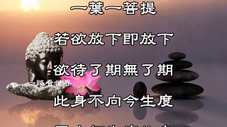 太好聽了！一曲《無悔菩提路》送給有緣的你 【中字字幕】