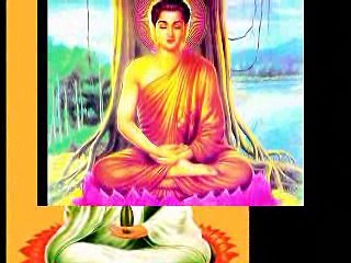 GIEO NHÂN GẶT QUẢ - Copy