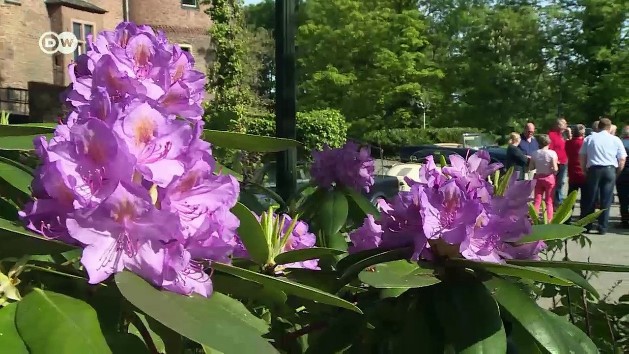 Ausflug mit Oldtimern | DW Deutsch