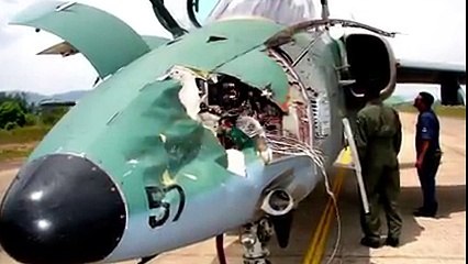Bird Attack Aircraft - Airplane crashes into big bird