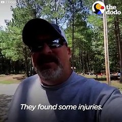 SICK Stray Dog Shows Up At Family's House And Stays Forever _ The Dodo