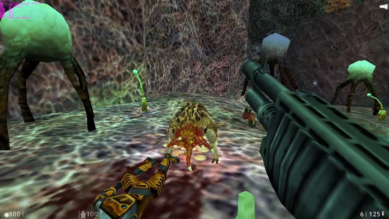 Half Life Residual Point-Into The Portal