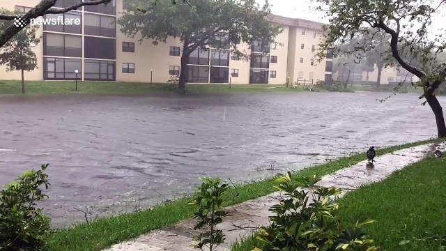 Florida resident films flooding and wreckage after Hurricane Irma