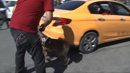 İstanbul'da Taksi ve Minibüslere Denetim