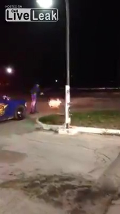 Ce cerf se fait butter par un policier pour n'avoir pas bougé de la route...