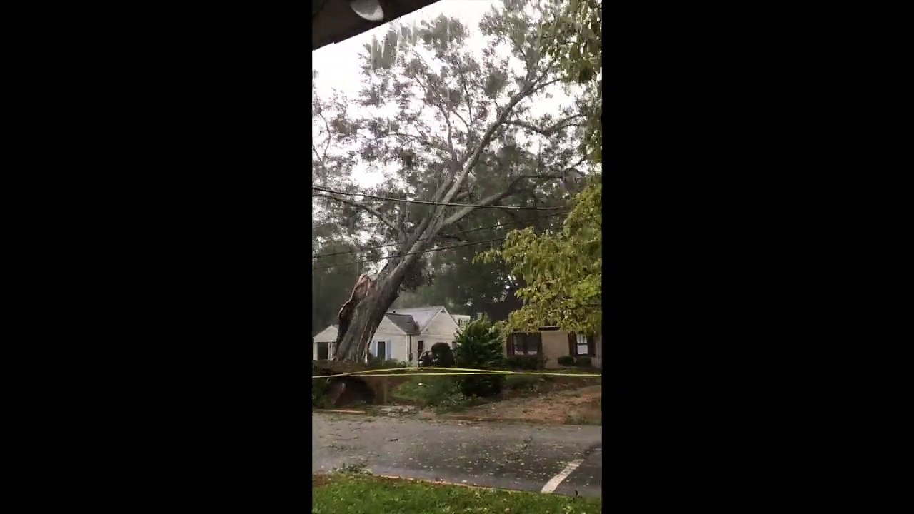Une maison rasée en 1 seconde par un énorme arbre en pleine chute
