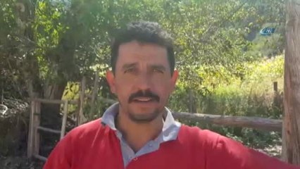 Emet'teki Yangın Kontrol Altına Alındı