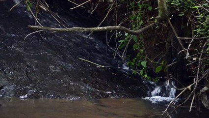 Rock or stone is a natural substance, a solid aggregate of one or more minerals or mineraloids